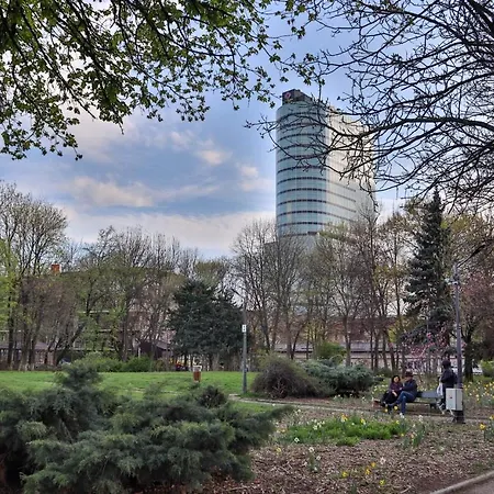 Oak - Piata Victoriei Бухарест