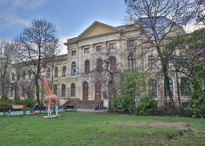 Oak - Piata Victoriei דירה