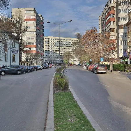 Oak - Piata Victoriei Apartment *