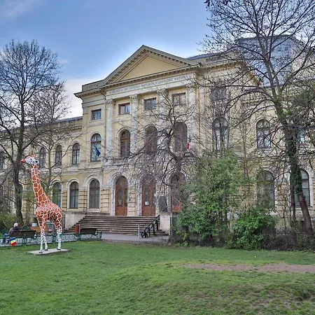 Oak - Piata Victoriei Apartment